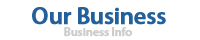 Our Business